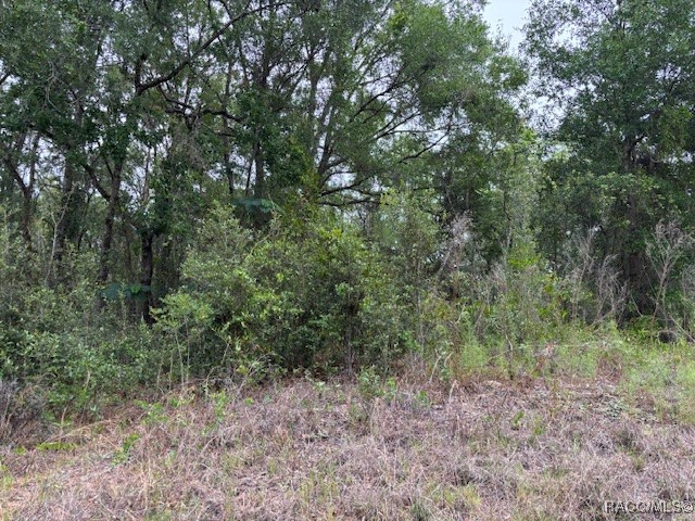 6717 E Gentry Street, Inverness, Florida image 1