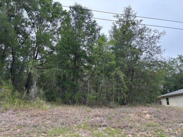 6717 E Gentry Street, Inverness, Florida image 5