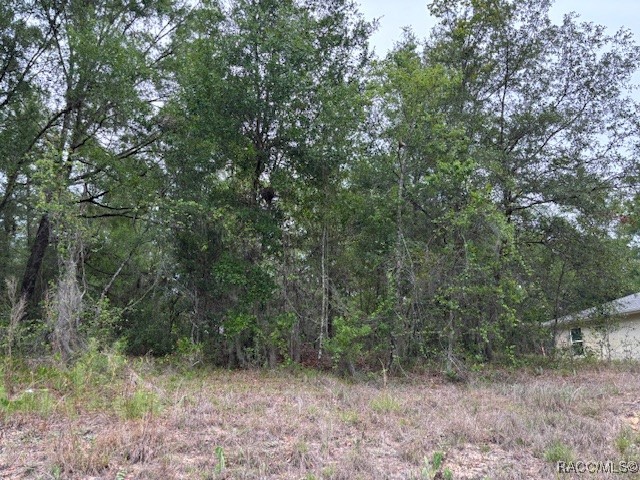 6717 E Gentry Street, Inverness, Florida image 4