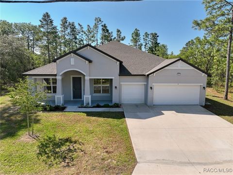 9 Sanders Court E Homosassa FL 34446