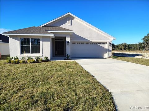 423 Wood Stork Trail Inverness FL 34453