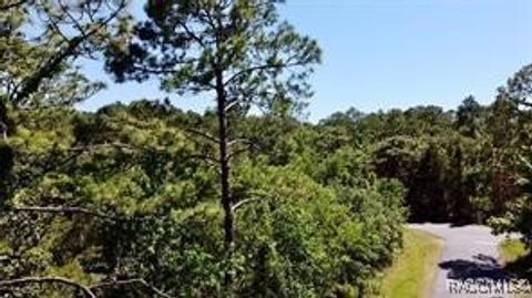 Vacant Land For Sale - 8178 W Windhaven Place<br/> Homosassa, FL 34448