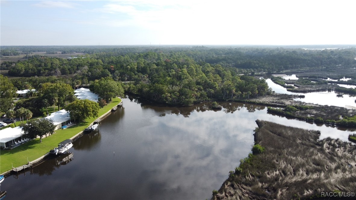 11468 W Bayshore Drive, Crystal River, Florida image 42