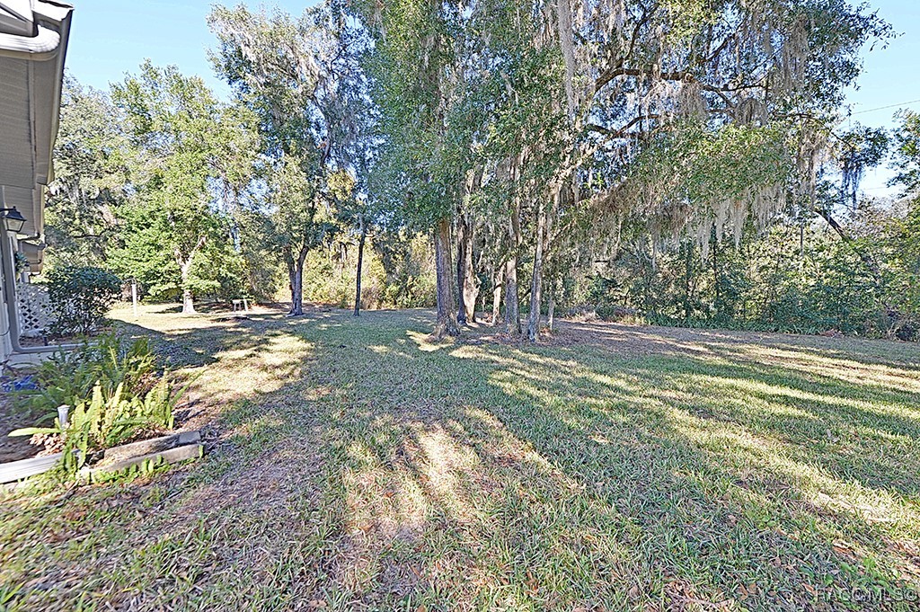 3371 S Belgrave Drive, Inverness, Florida image 37