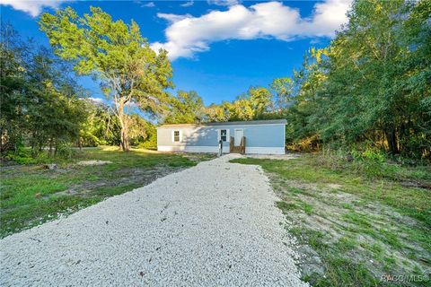 A home in Williston