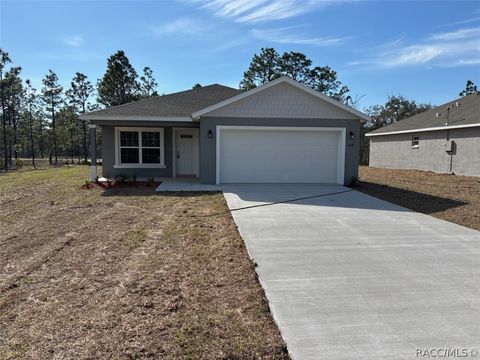 Homes For Sale - 6604 N Roland Drive<br/> Dunnellon, FL 34433