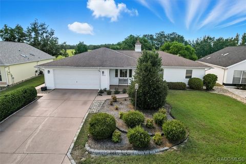 10473 S Drew Bryant Circle Floral City FL 34436