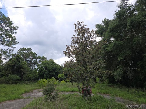 Vacant Land For Sale - 5910 W Pine Circle<br/> Crystal River, FL 34429