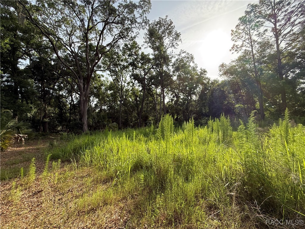 SE 144 Place, Inglis, New York image 33
