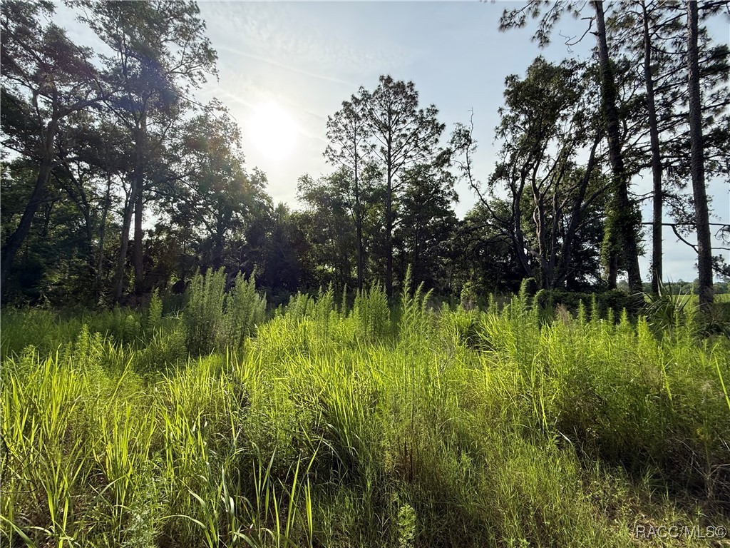 SE 144 Place, Inglis, New York image 31