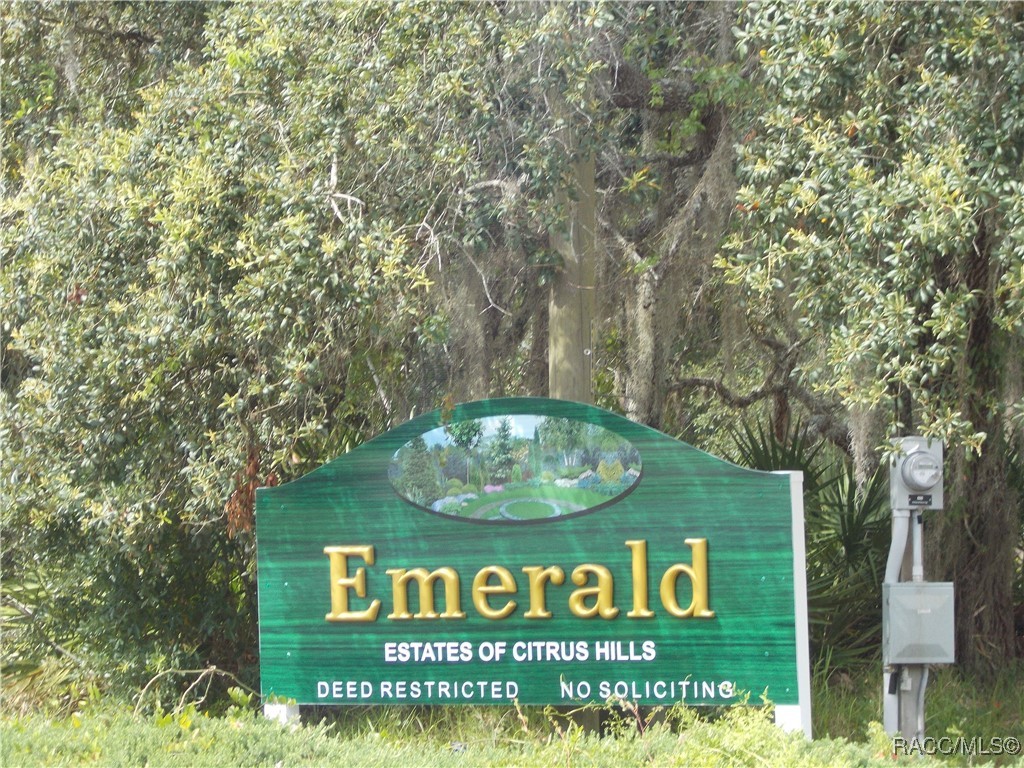 Hernando, Florida 34442, United States, ,Land,Active,162938