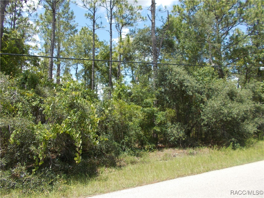 Hernando, Florida 34442, United States, ,Land,Active,162938 Hernando, Florida 34442, United States, ,Land,Active,162938