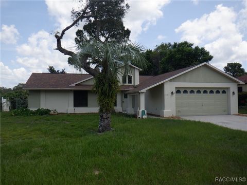 A home in Lecanto