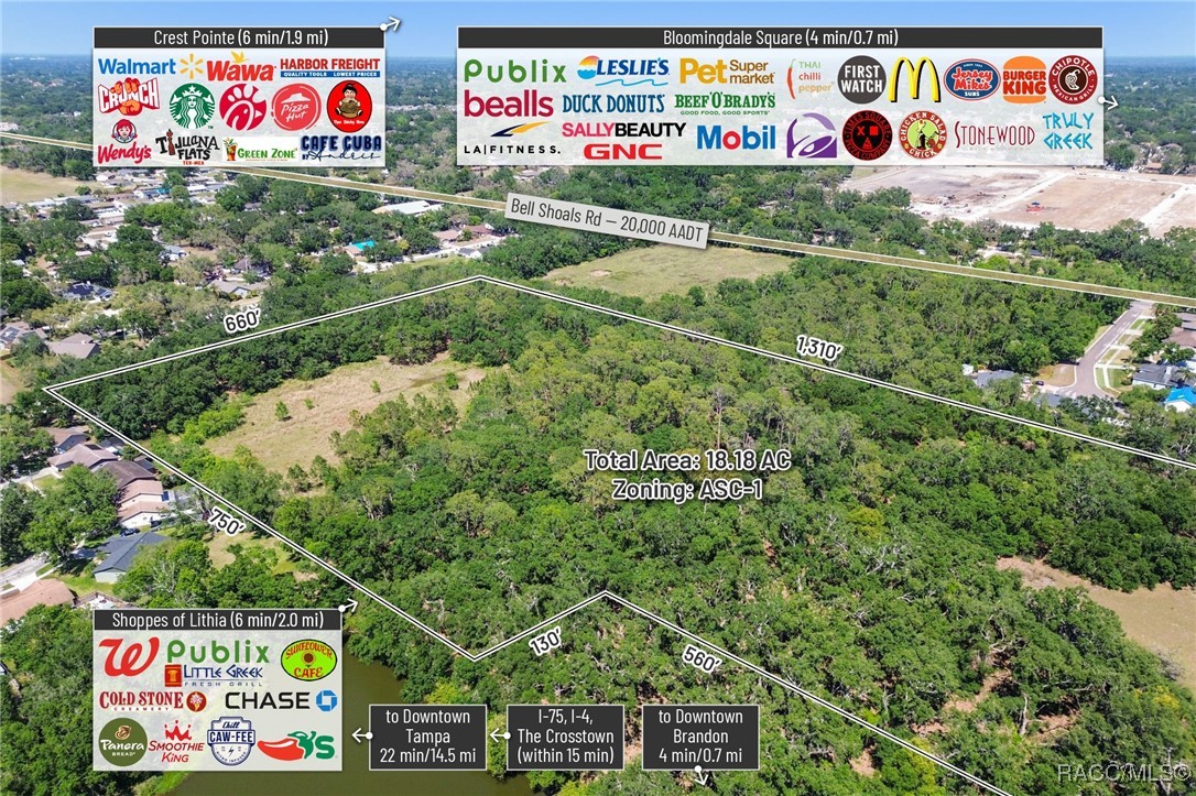 903 Knowles Road, Brandon, Florida image 7