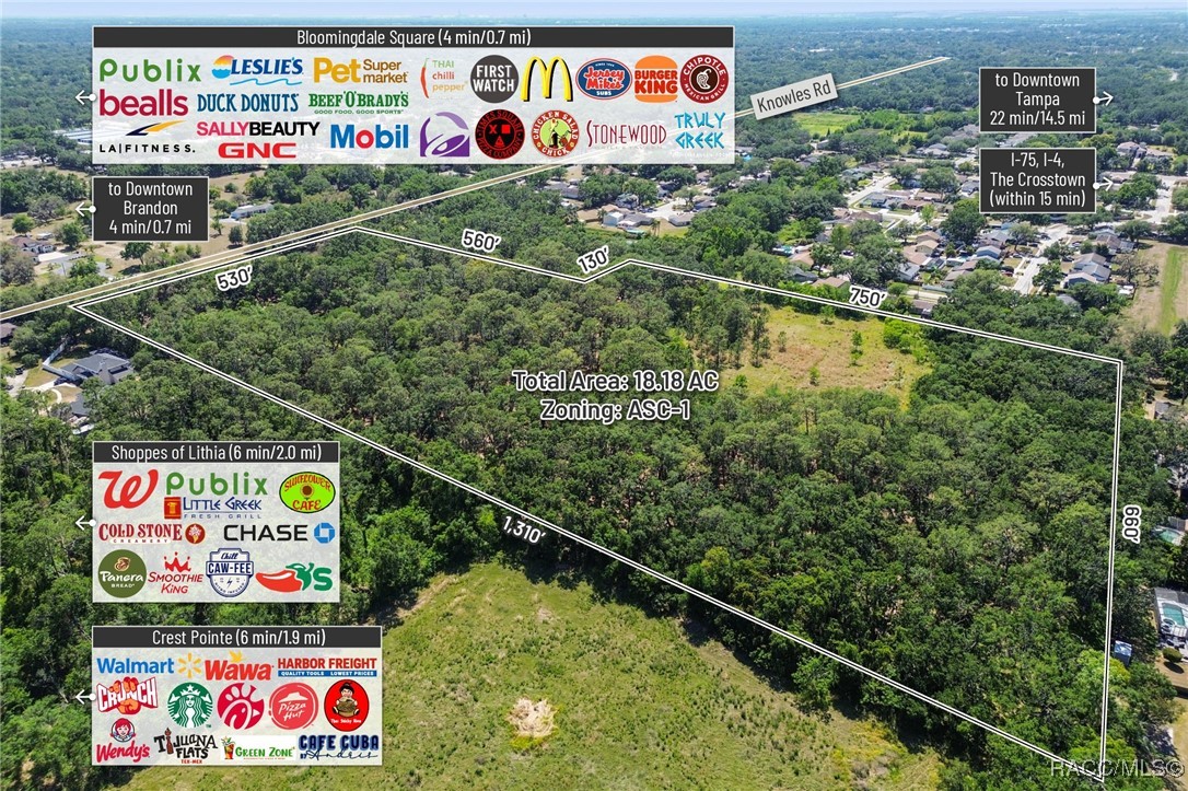 903 Knowles Road, Brandon, Florida image 14