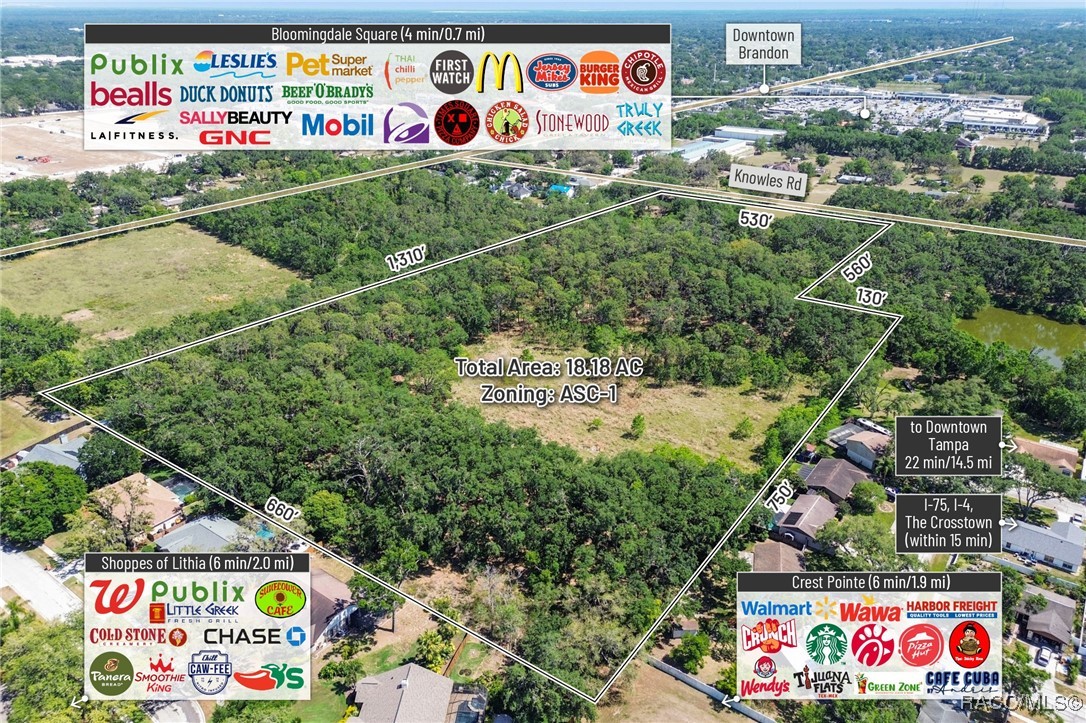 903 Knowles Road, Brandon, Florida image 10