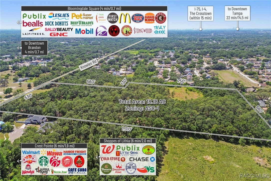 903 Knowles Road, Brandon, Florida image 15