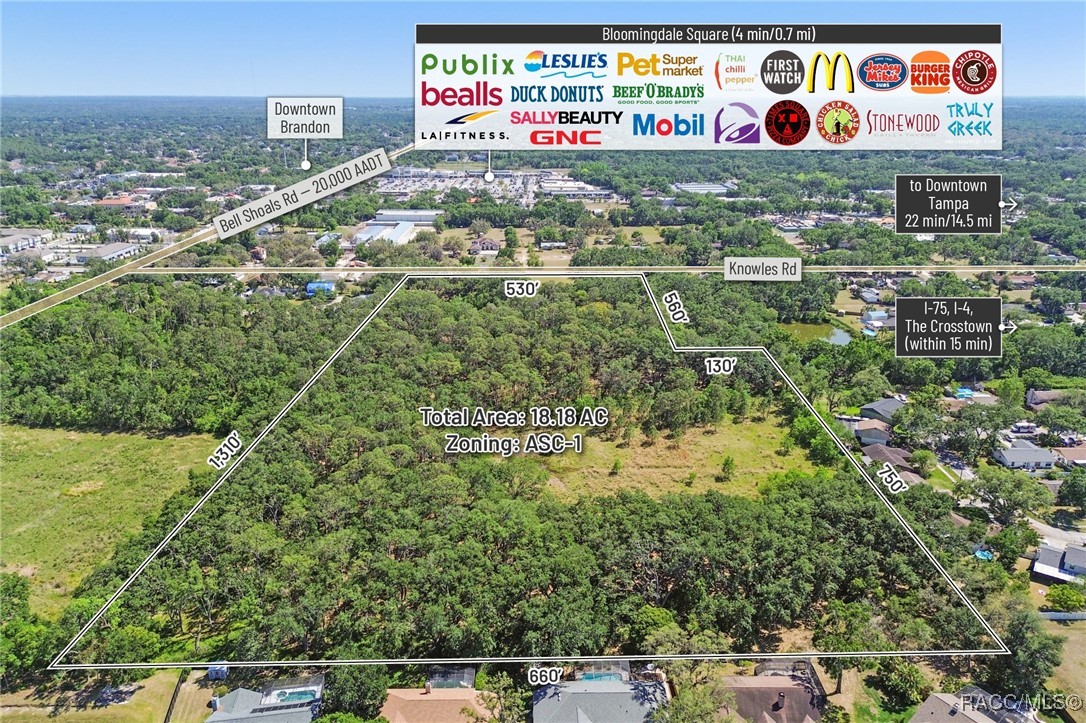 903 Knowles Road, Brandon, Florida image 12