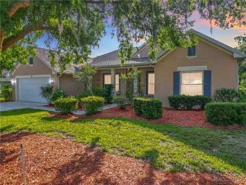 16 Ryewood Circle Homosassa FL 34446