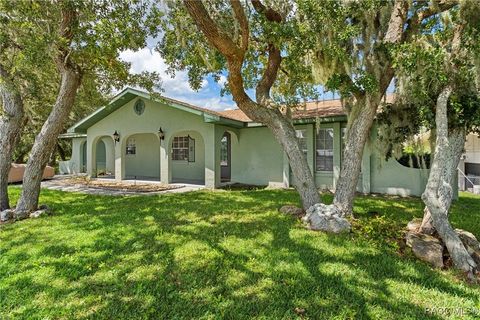 11675 W DIXIE SHORES Drive Crystal River FL 34429