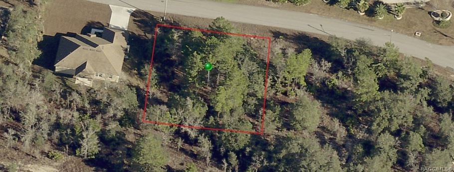 54 Vinca Street, Homosassa, Florida image 1