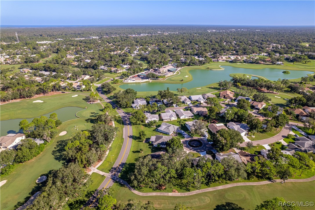 7076 Pond View Court, Spring Hill, Florida image 7