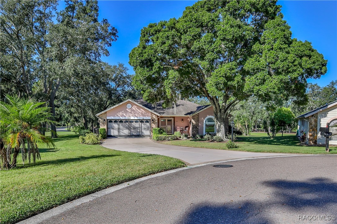 7076 Pond View Court, Spring Hill, Florida image 3