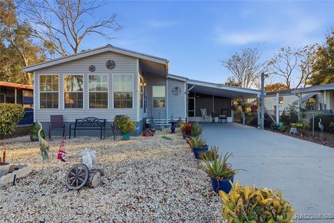 Homes For Sale - 4294 E Van Ness Road<br/> Hernando, FL 34442