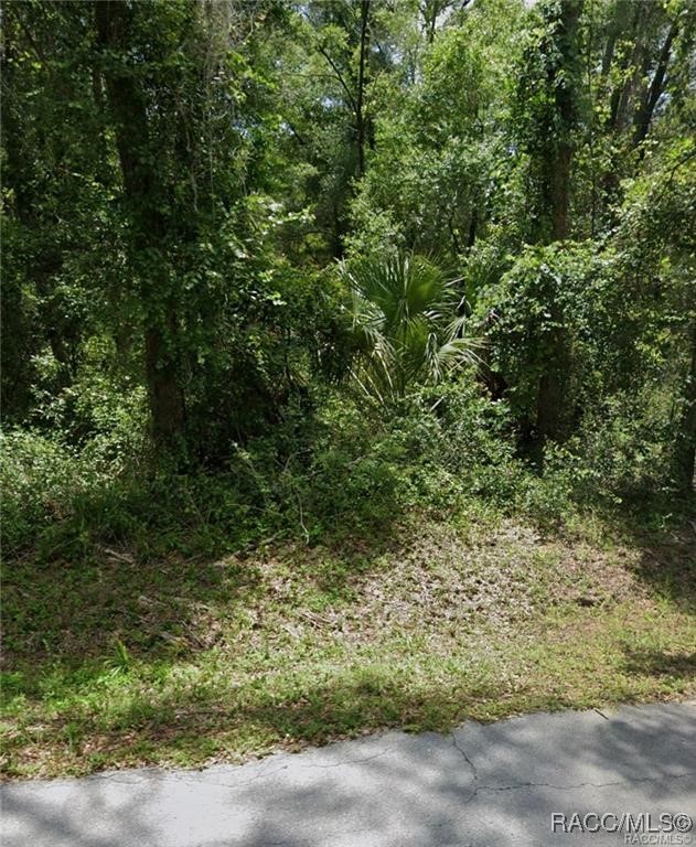 LOTS 89 90 91 & 92 N Rooks Avenue, Inverness, New York image 2