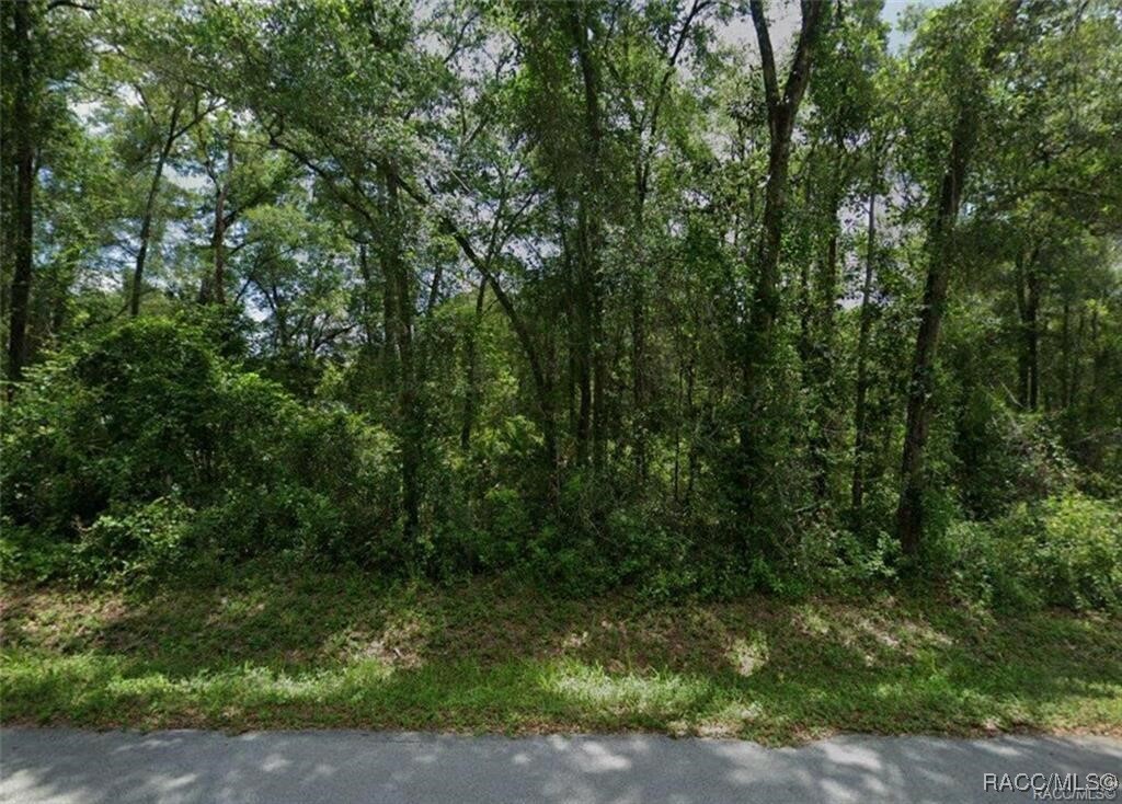 LOTS 89 90 91 & 92 N Rooks Avenue, Inverness, New York image 1
