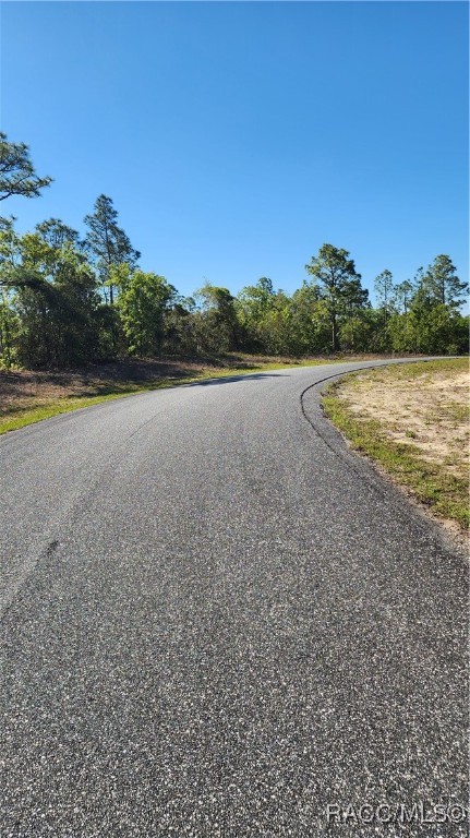 2882 W Lambert Drive, Dunnellon, New York image 3