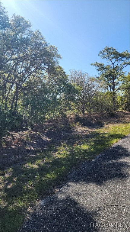 2882 W Lambert Drive, Dunnellon, New York image 5