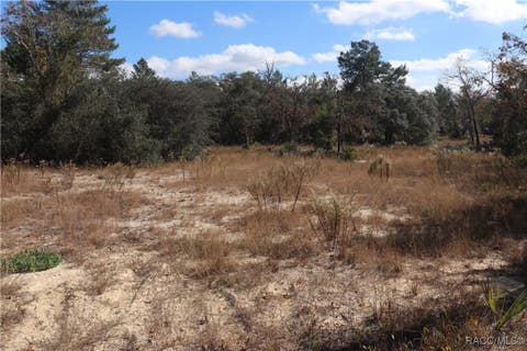 Homes For Sale - 9097 N Peewee Point<br/> Dunnellon, FL 34433