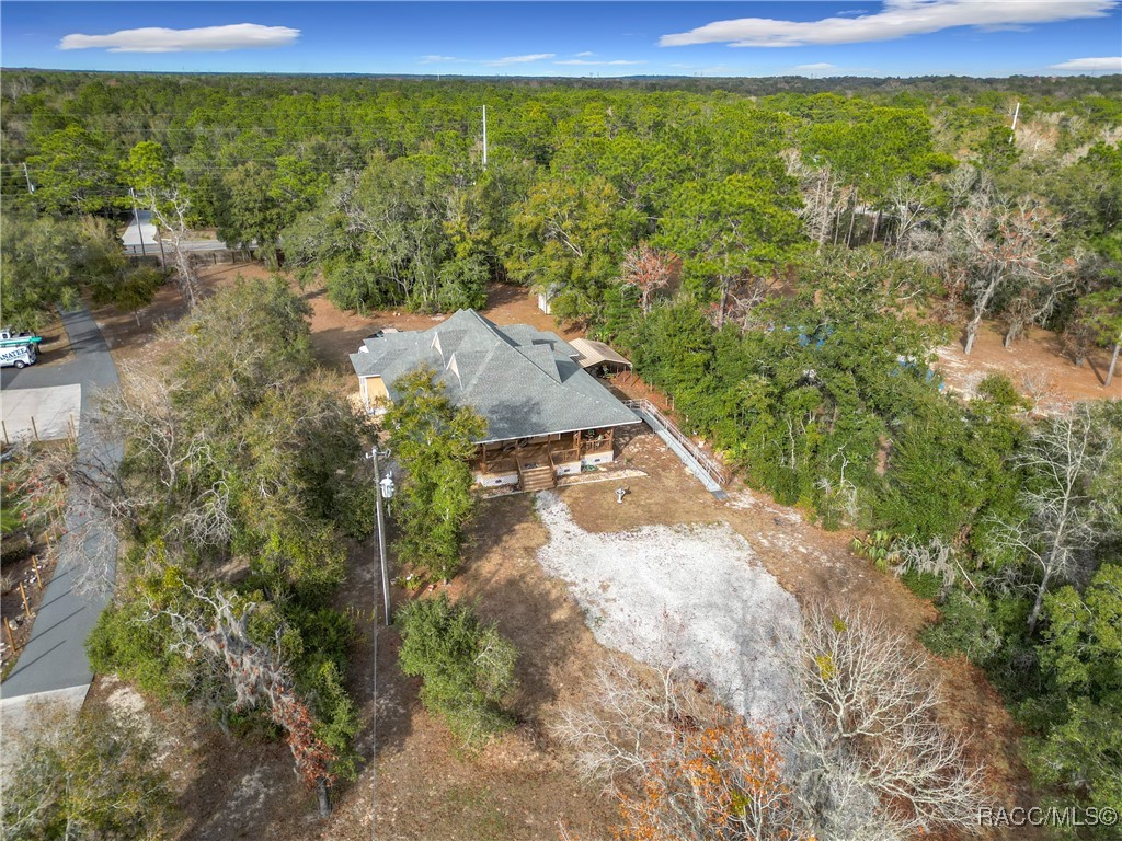 6687 W 7 Rivers Drive, Crystal River, Florida image 8