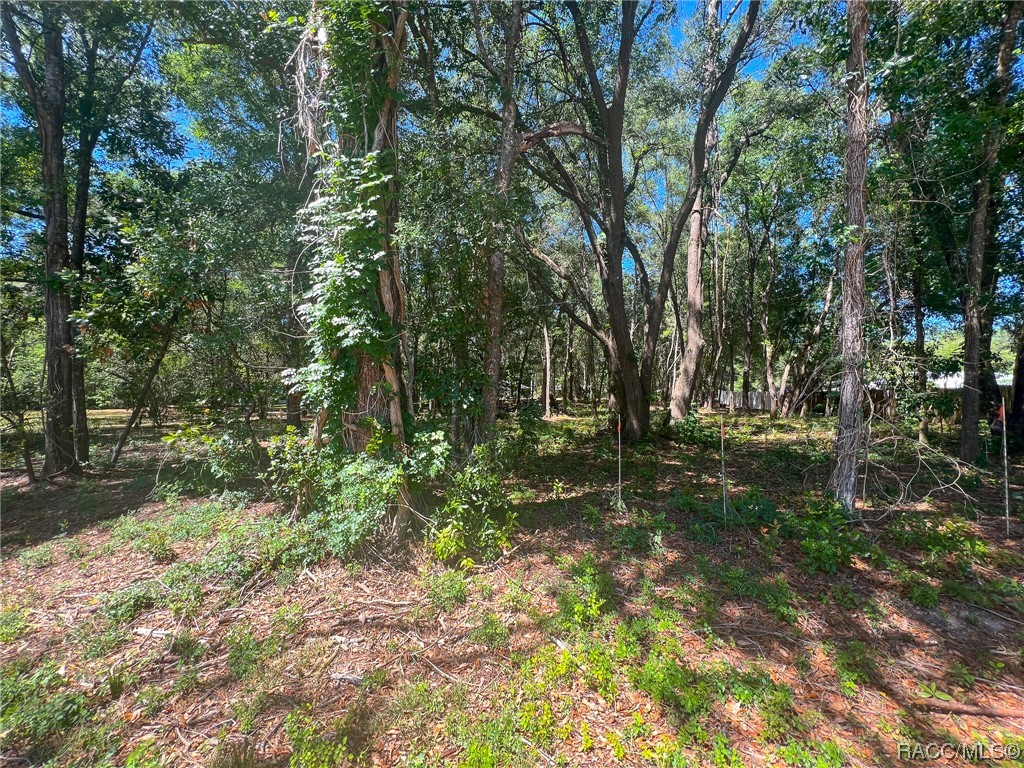 3965 E Walker Street, Inverness, Florida image 8