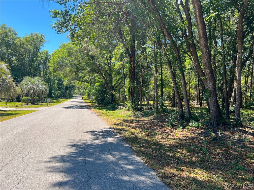 3965 E Walker Street, Inverness, Florida image 3