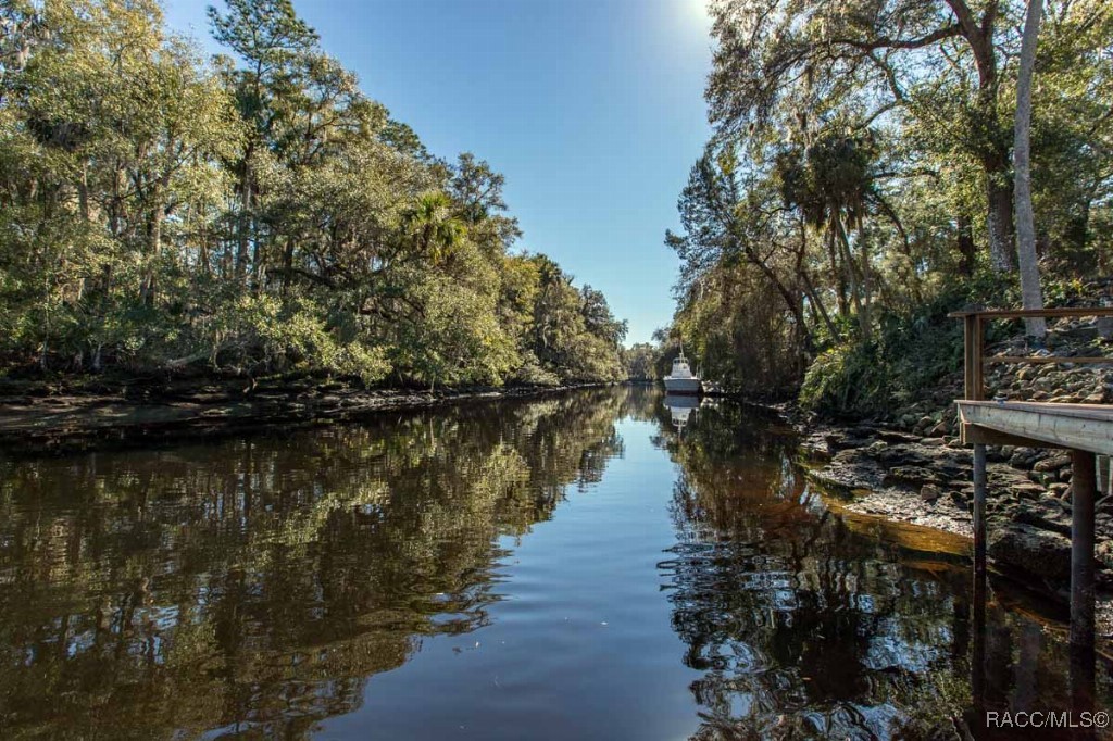 10584 N Dawnflower Point, Crystal River, Florida image 32