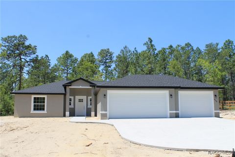 8768 N Hasting Drive Citrus Springs FL 34433