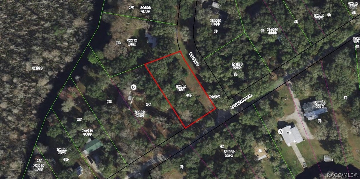 Photo 1 of 1 — 12345 E Walton Drive, Floral City, FL 34436