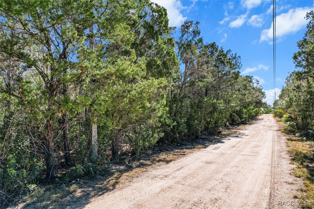 1725 S Waterbird Point, Crystal River, Florida image 17