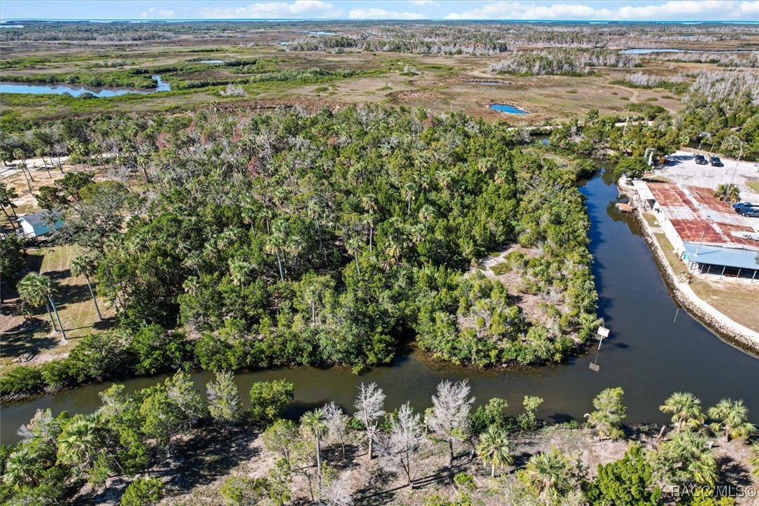 1725 S Waterbird Point, Crystal River, Florida image 13