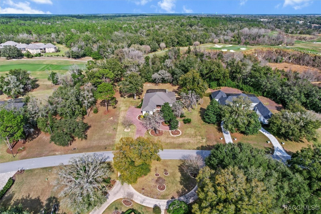 3840 W Black Diamond Circle, Lecanto, Florida image 43