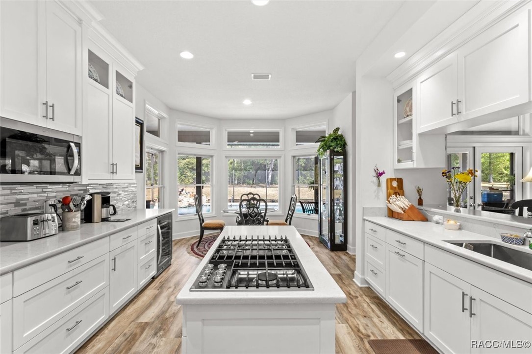 3840 W Black Diamond Circle, Lecanto, Florida image 2