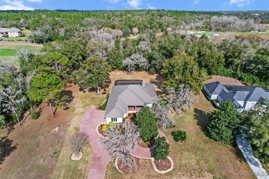 3840 W Black Diamond Circle, Lecanto, Florida image 38