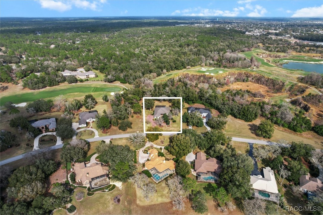 3840 W Black Diamond Circle, Lecanto, Florida image 5