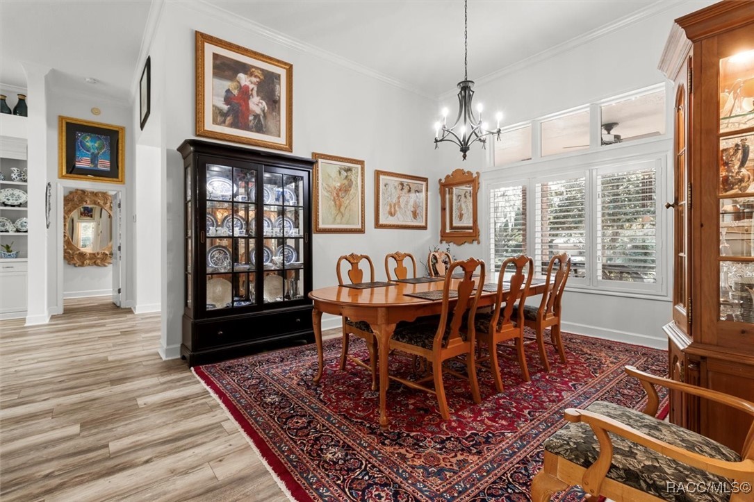3840 W Black Diamond Circle, Lecanto, Florida image 15