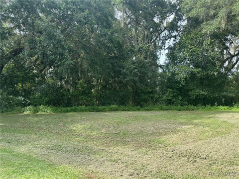 Vacant Land For Sale - 3041&3061 E Berwick Court<br/> Hernando, FL 34442