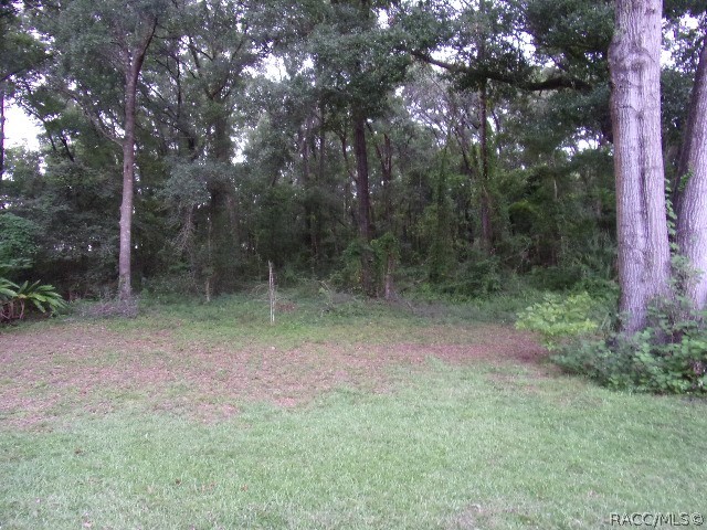 19845 SW 88th Place Road, Dunnellon, Florida image 13