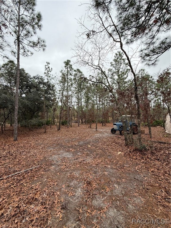 5825 N Geiger Terrace, Dunnellon, Florida image 17