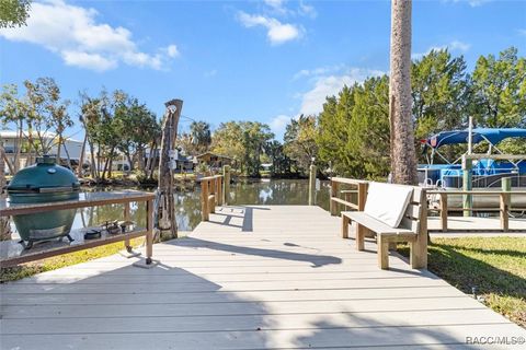 A home in Crystal River